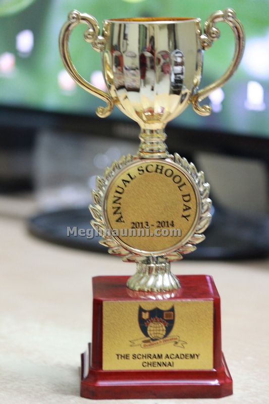 special achievement award trophy