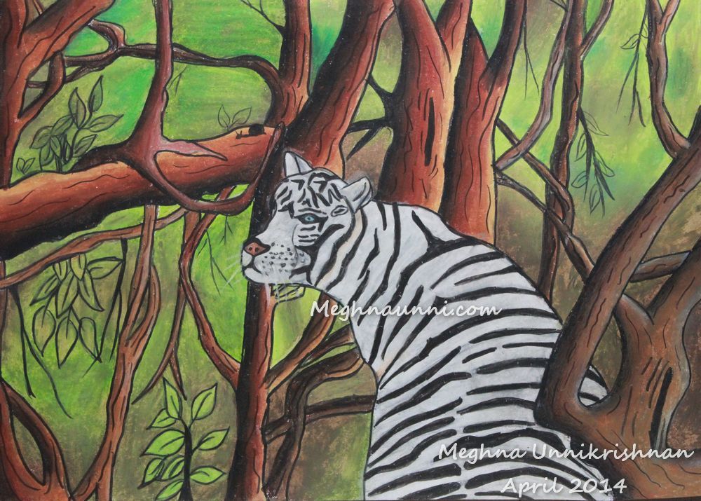 white-tiger-in-forest-by-meghna-unnikrishnan