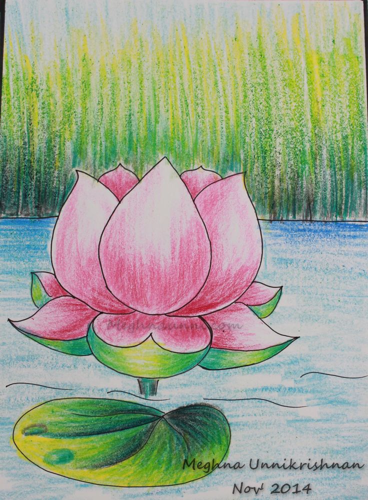 lotus-painting-by-meghna