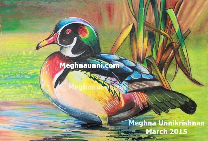 mandarin-duck-oil-pastel-painting-by-meghna-unni