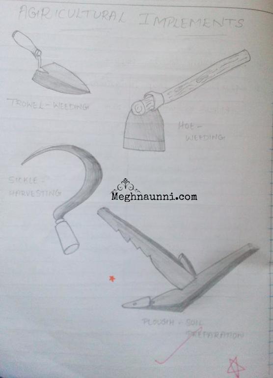 Agricultural Implements Pencil Diagram – Meghnaunni.com