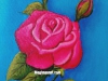 rose-bday-gift-to-harinie-jeevitha-by-meghna-unni
