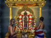 Kanchi-Varadar-Brahmotsavam-Day1-Thanga-Chapparam-meghnaunni