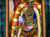 Kanchi-Varadar-Brahmotsavam-Day5-Nachiyar-Thirukolam-meghnaunni