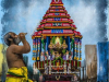Kanchi-Varadar-Brahmotsavam-Day7-Thiruther-painting-meghnaunni