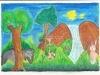 Celebrate The Forest