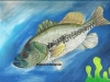 fish-art-contest-2013-small1