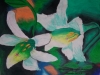 flowers_0