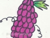 grape