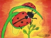 lady-bug-by-meghna-unni