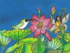 lotus-fairy