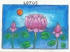 lotus-jan-2012