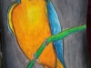 macaw-for-school