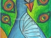 peacock-for-gallery