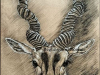 blackbuck-pen-drawing-meghna-unni