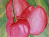 cherries-colcour-pencils-by-meghna-unnikrishnan