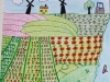 field-of-flowers