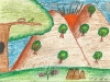 nature1