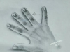 palm-drawing-by-meghna-unni