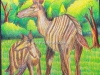 Striped-Deer-by-meghna-unnikrishnan