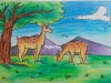 deer-grazing-meghna-unni
