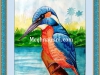 kingfisher-water-colour-painting-meghna-unnikrishnan