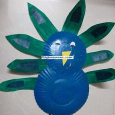 Peacock using paper plate
