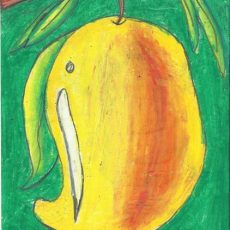 Meghna’s new trial of Mango