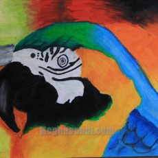 Devbhoomi Painting Competition 2012