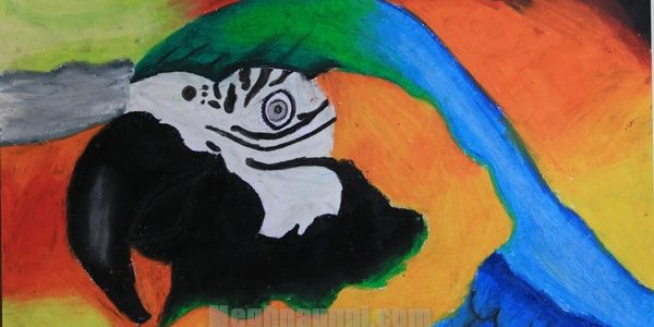 Devbhoomi Painting Competition 2012