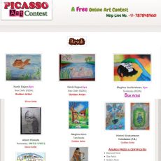 Picasso Art Contest 2013 Star Artist