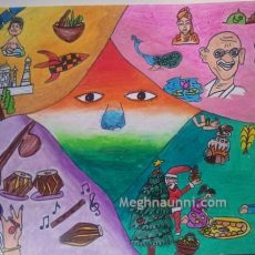 Asianet Proud to be Indian Entry