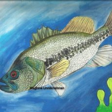 State Fish Art Contest 2013, USA