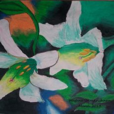 Dessin Exhibition Pictures