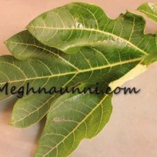 How we cured my Dengue Fever