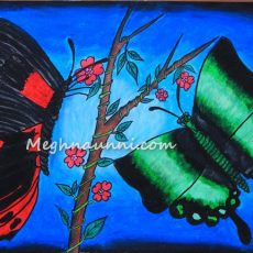 Titlee – The Butterfly – 2013 Drawing Competition