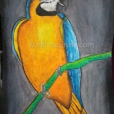 Macaw Bird Painting by Meghna