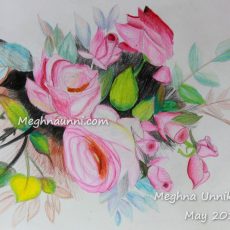 Roses – Pencil Colour Work by Meghna