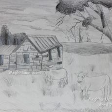 ‘Cattle Grazing’ Pencil Shading