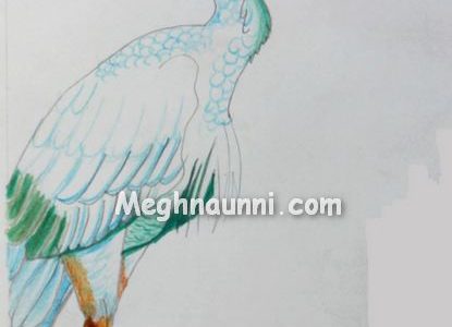 Egret Pencil Colour Drawing
