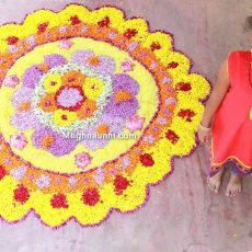 My Onam 2014