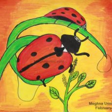 Lady Bug Painting