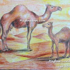 Camels Painting with Plastic Crayons