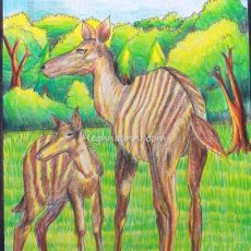 Striped Deer Painting Medium Plastic Crayons