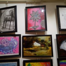 Sanskriti Arts Exhibition May 2015 at Hotel Kohinoor, Andheri, Mumbai