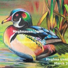 Mandarin Duck Painting in Oil Pastels