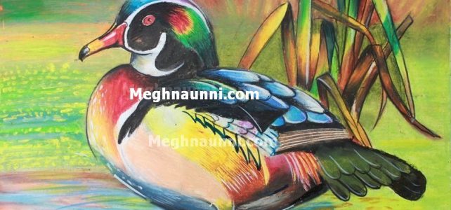 Mandarin Duck Painting in Oil Pastels