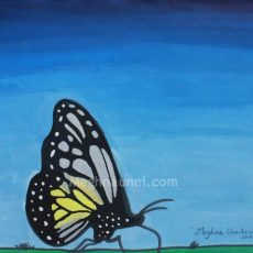 Butterfly Painting – Poster Colours