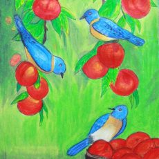 My Gift to Chittamma… Birds & Fruits Painting