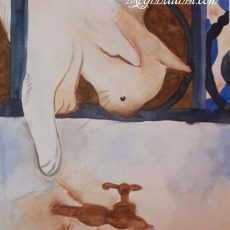 Cat Painting – Medium : Water Colour